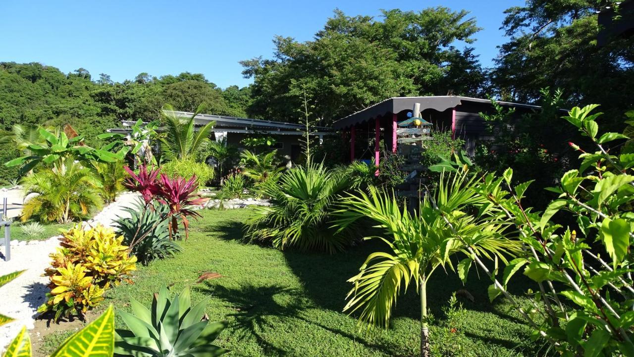 Bed and breakfast La Colina Pura Vista 3*